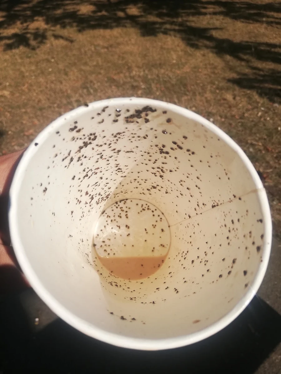 Coffee Grinds