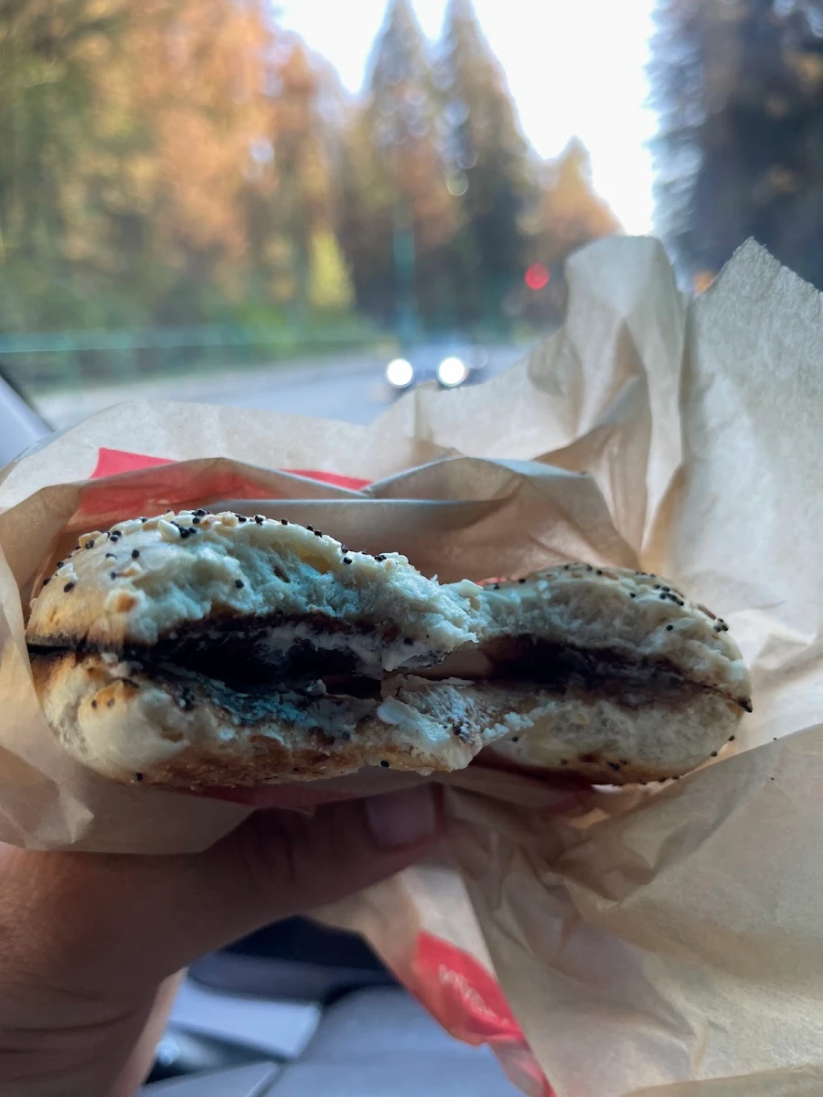 Everything Bagel with Cream Cheese