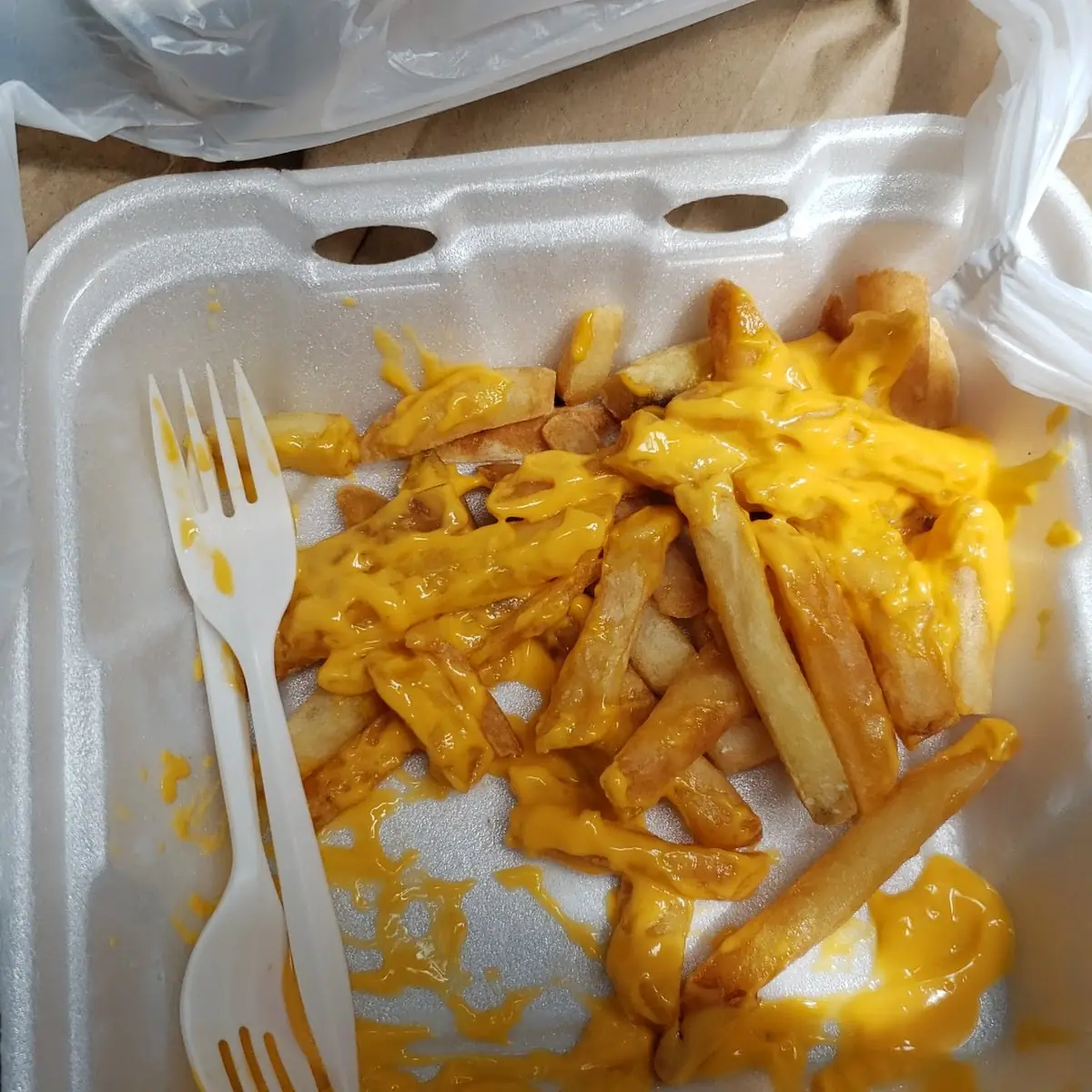 Cheese Fries
