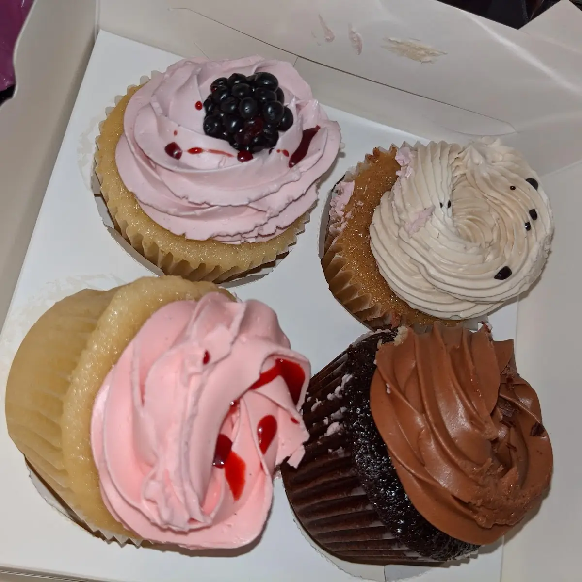 Cinnamon Bun Cupcake Chocolate Cupcake Berry Cupcake and Vanilla Blackberry Cupcake