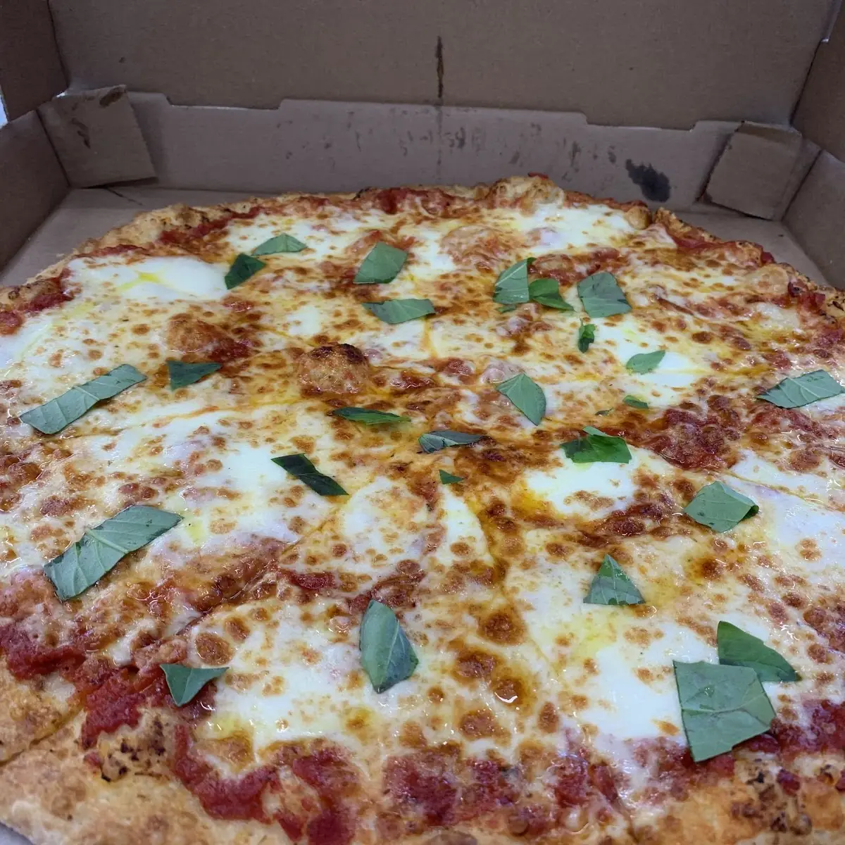 Cheese Pizza