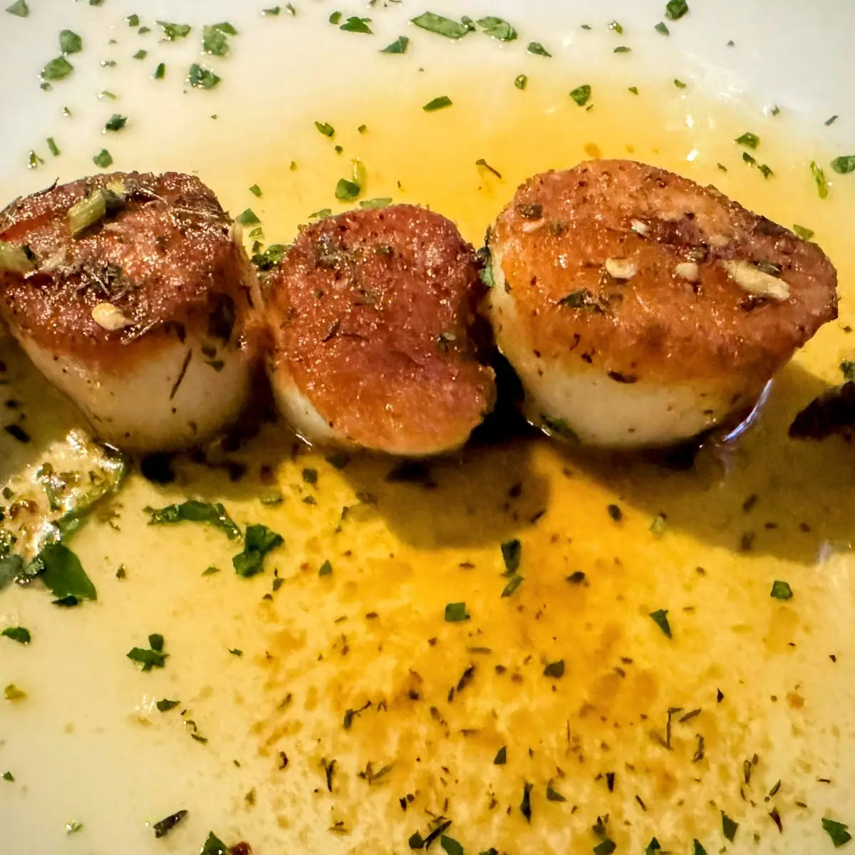 Sea Scallops