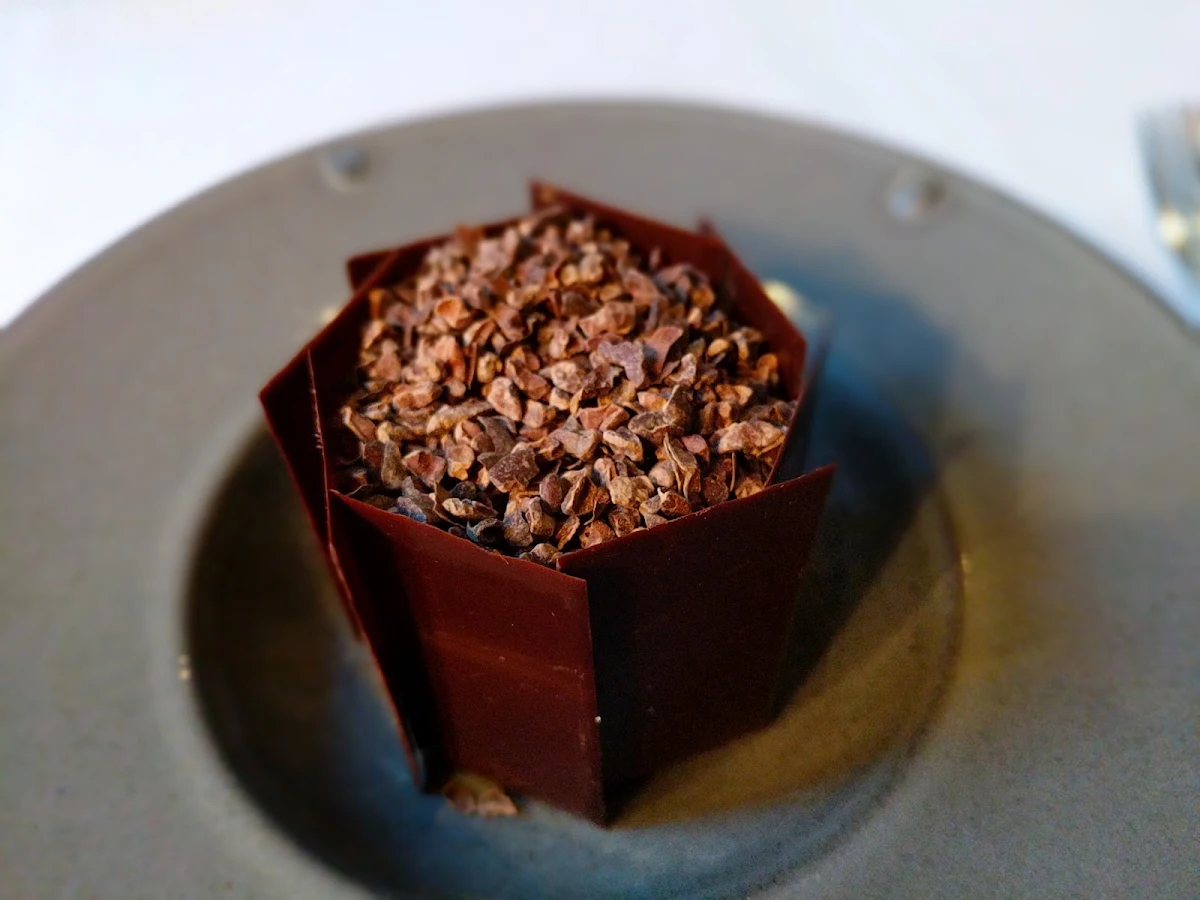 Vanilla and Valrhona Chocolate Panna Cotta