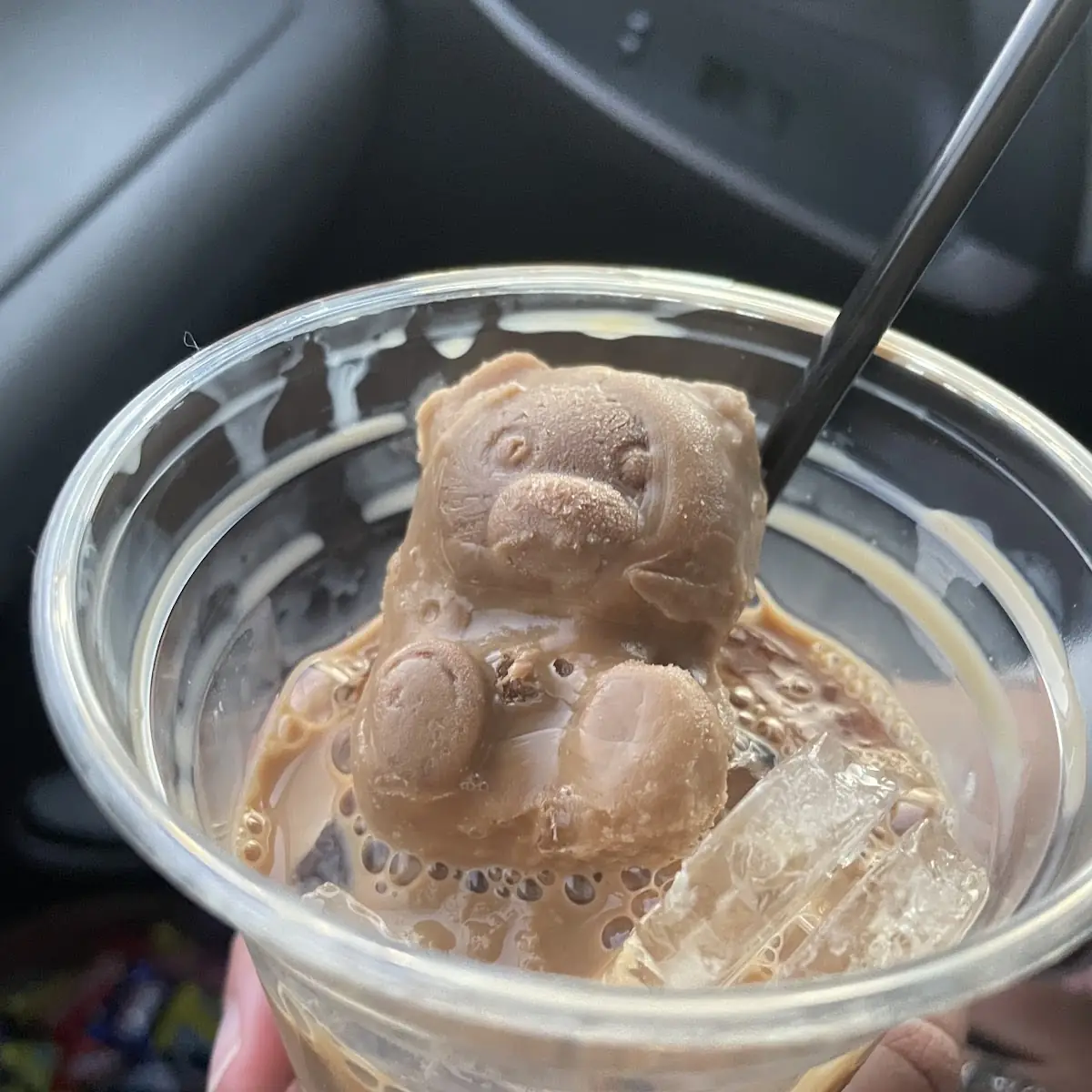 Chocolate Ice Cream
