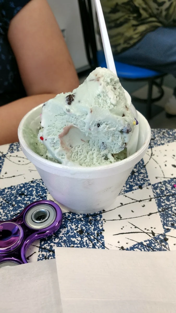 Mint Chocolate Chip