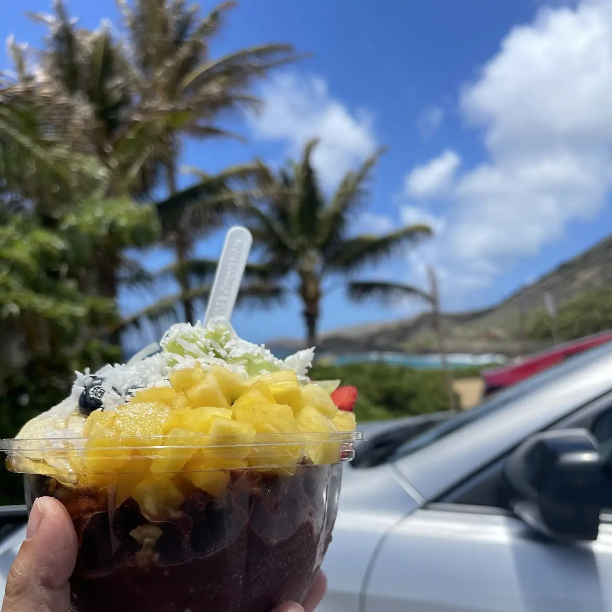 Acai Bowl