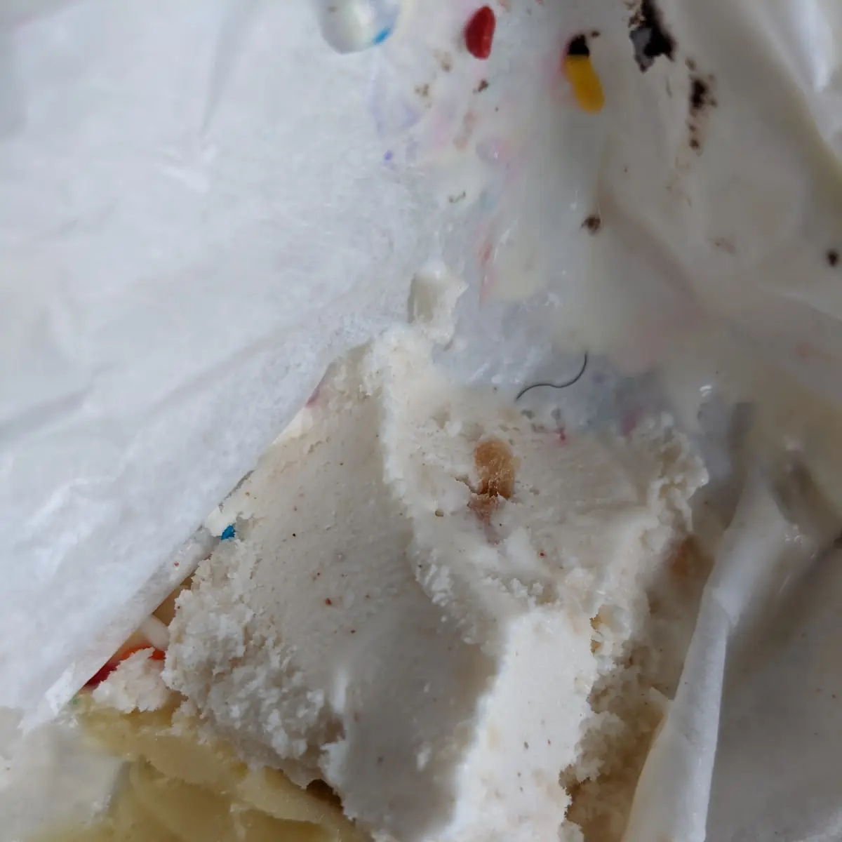 Hair in the Ice Cream