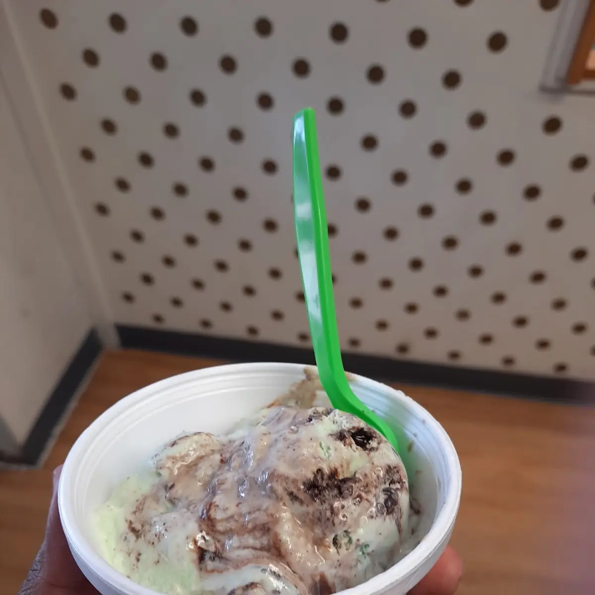 Mint Chocolate Chip
