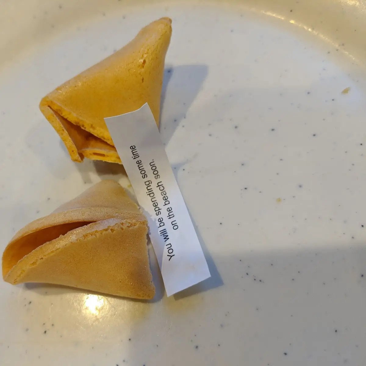 Fortune Cookies