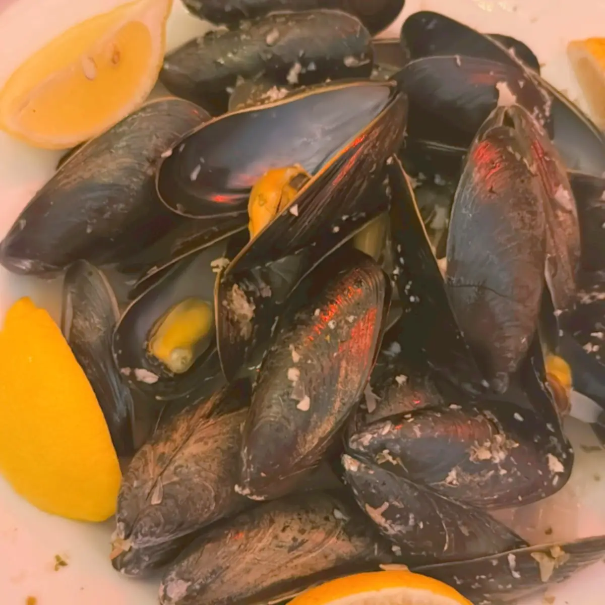 Steamed Mussels in Riesling Broth