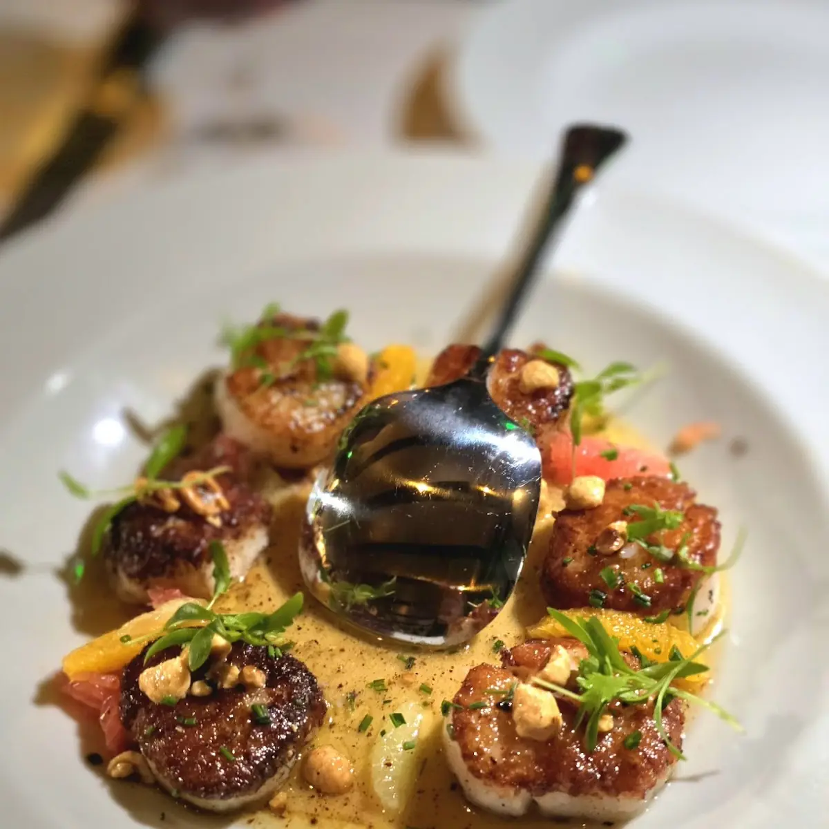North Atlantic Scallops