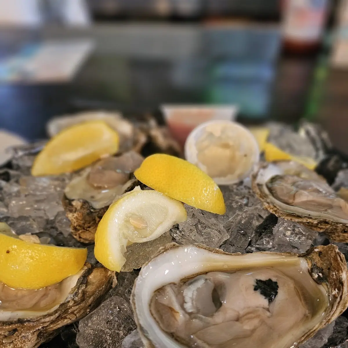 Oysters on the Half Shell