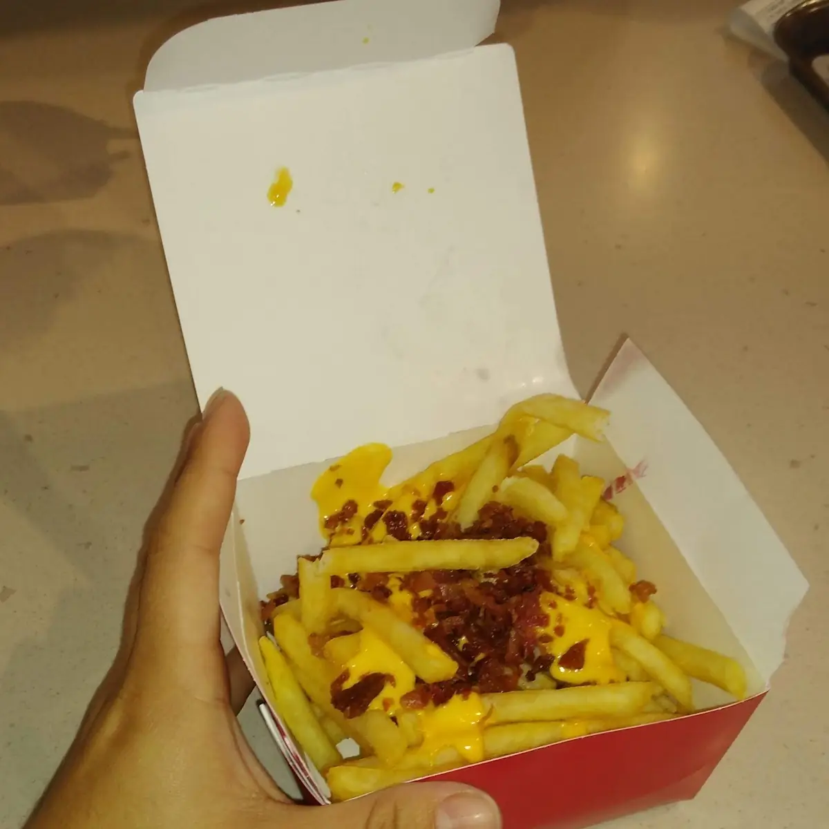 World Famous Fries