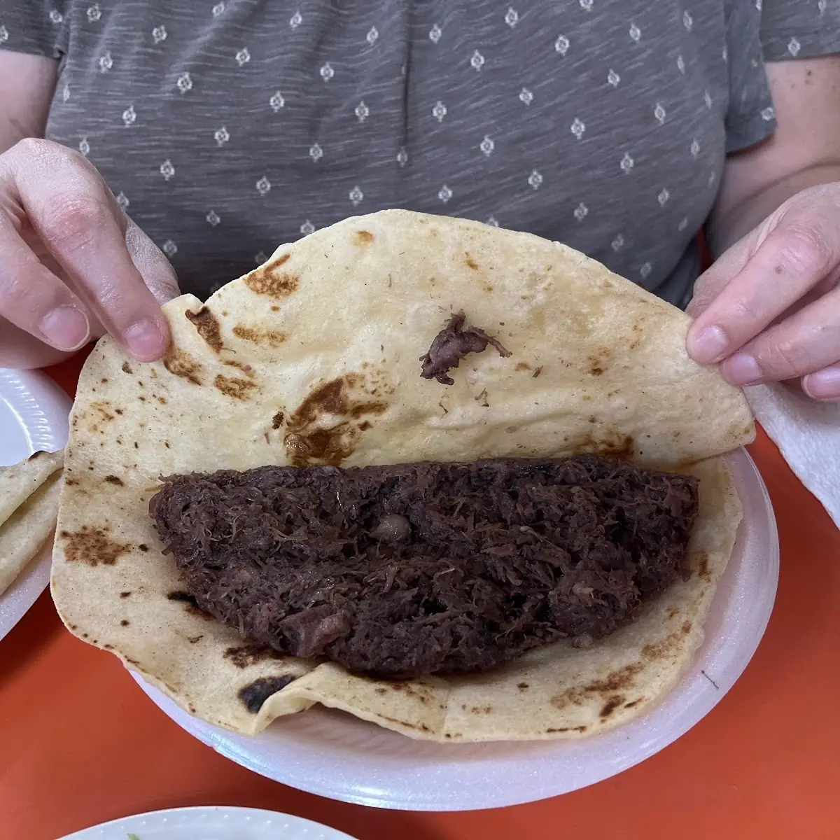 Burrito de Carne Guisada