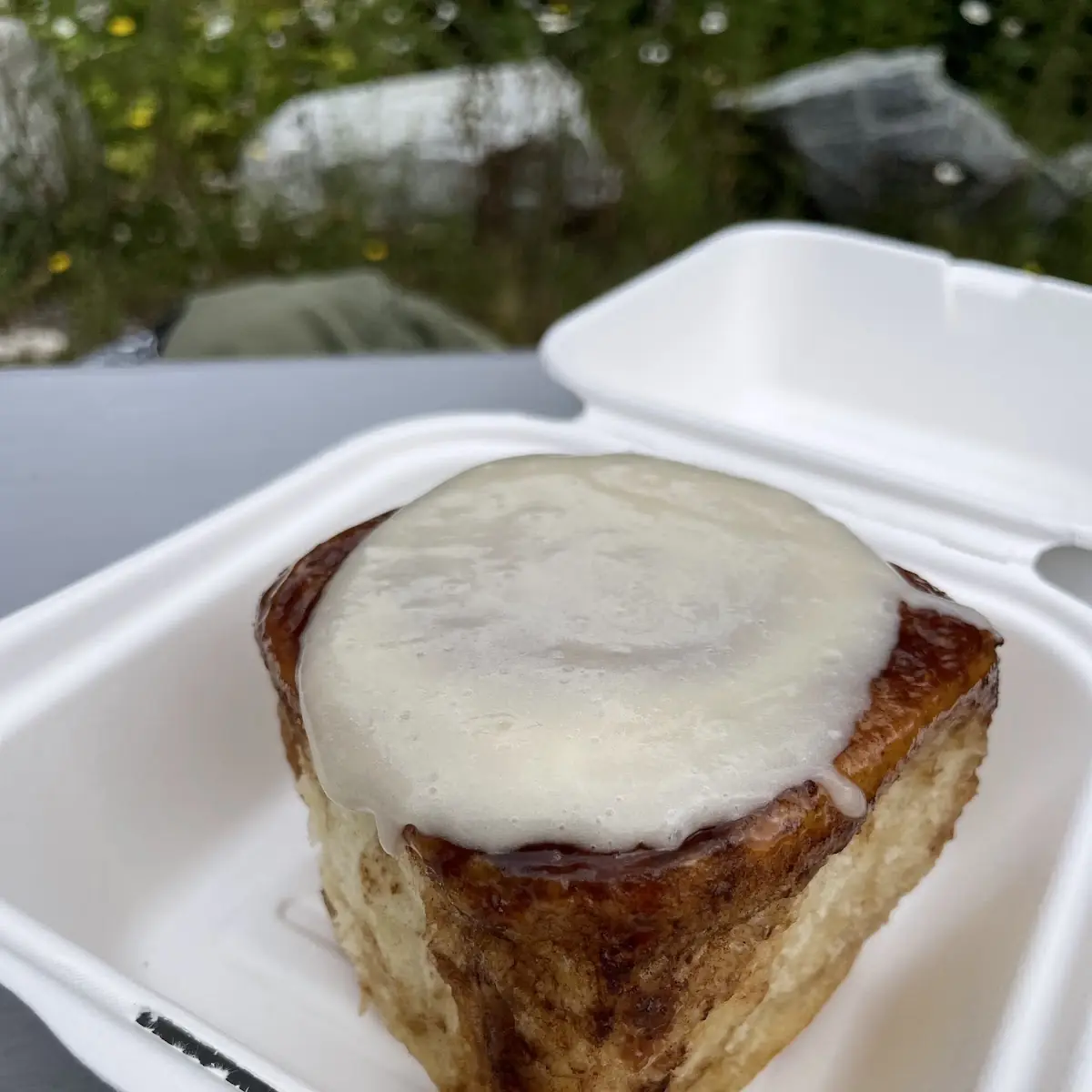 Cinnamon Roll