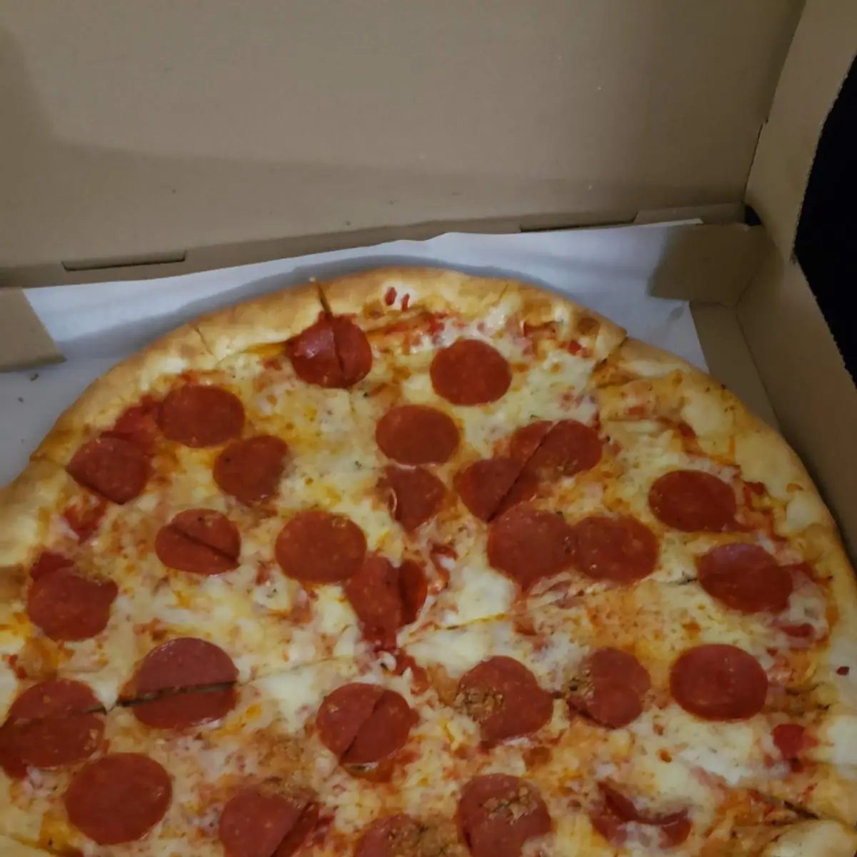 Pepperoni Pizza Sub