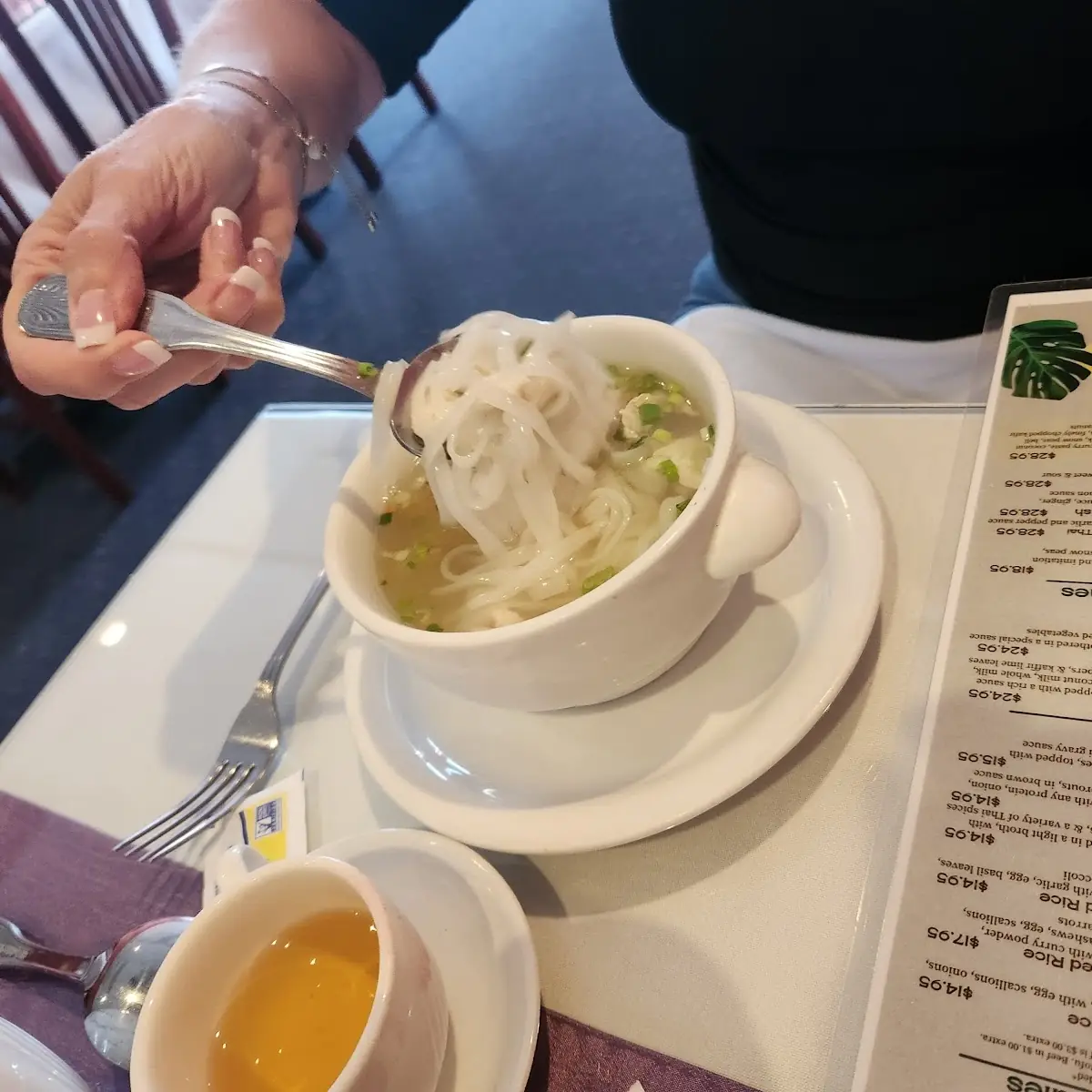 Chicken Noodle Soup