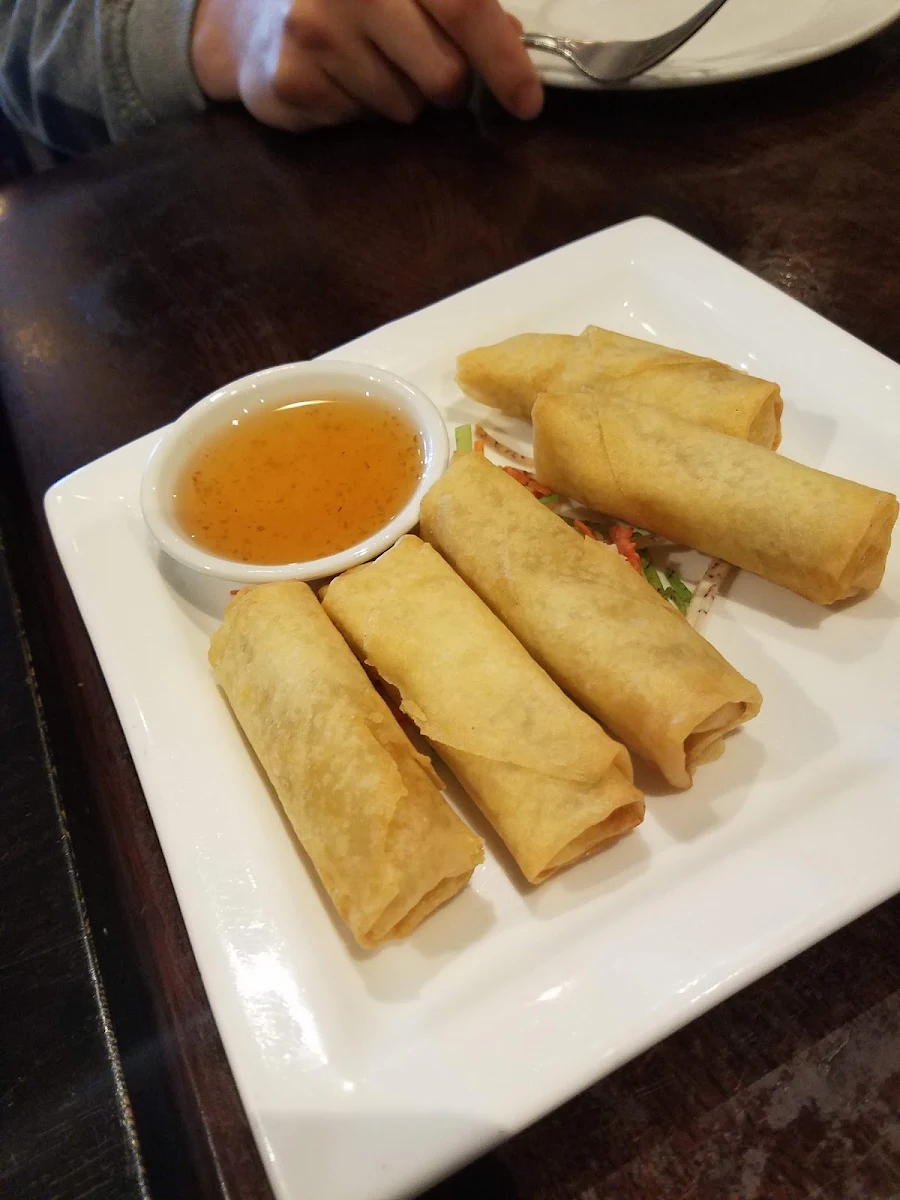 Veggie Spring Roll
