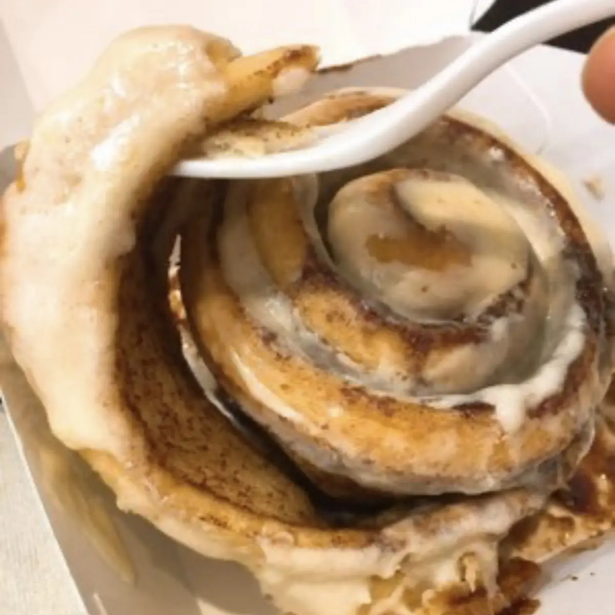 Cinnamon Bun