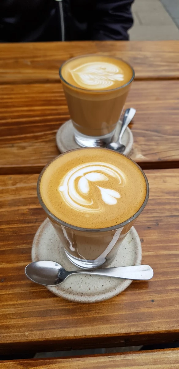 Great Coffee, Black Flat Coffee Brewers