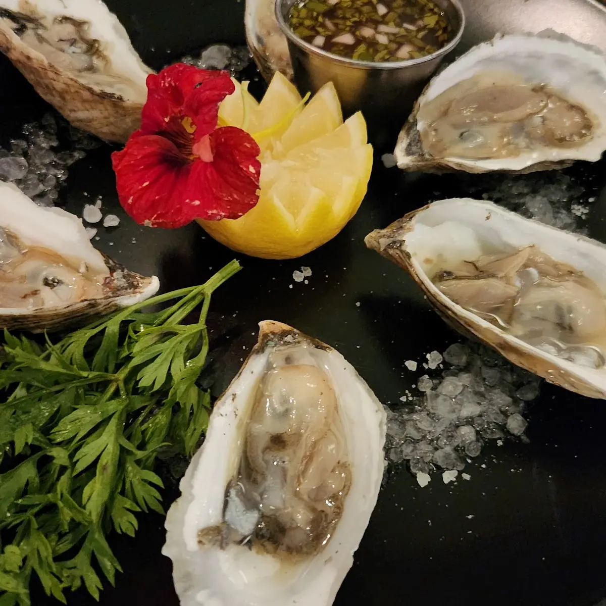 Oysters on the Half Shell