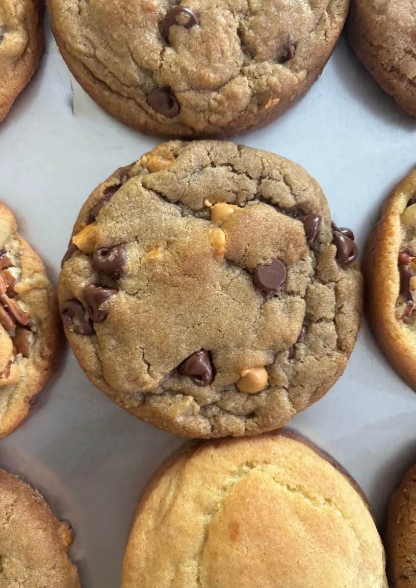 Chocolate Chip Cookie