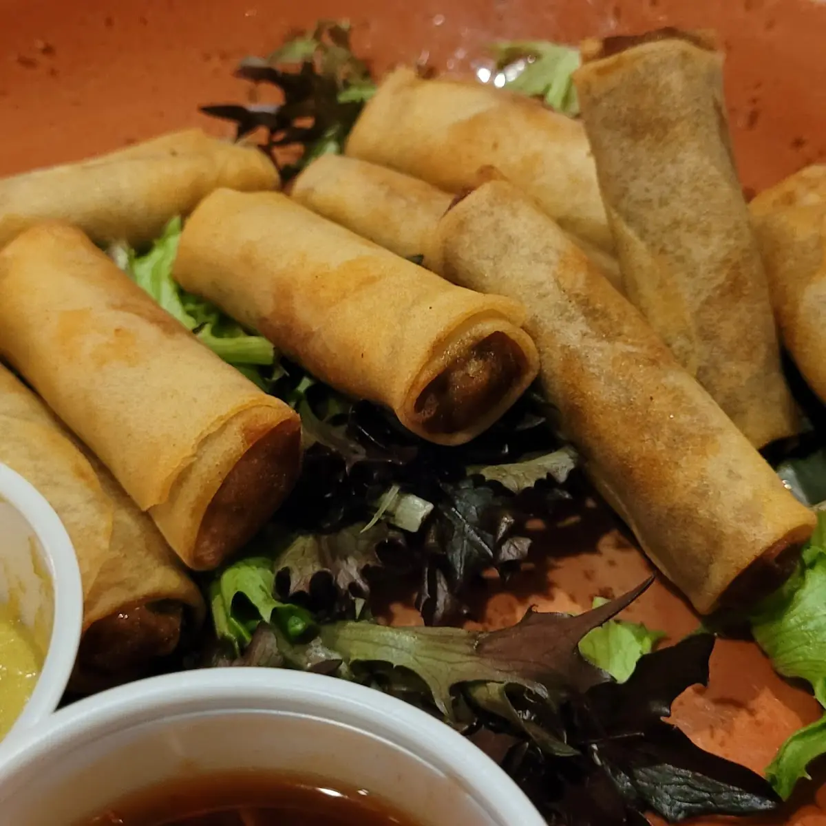 Duck Spring Rolls