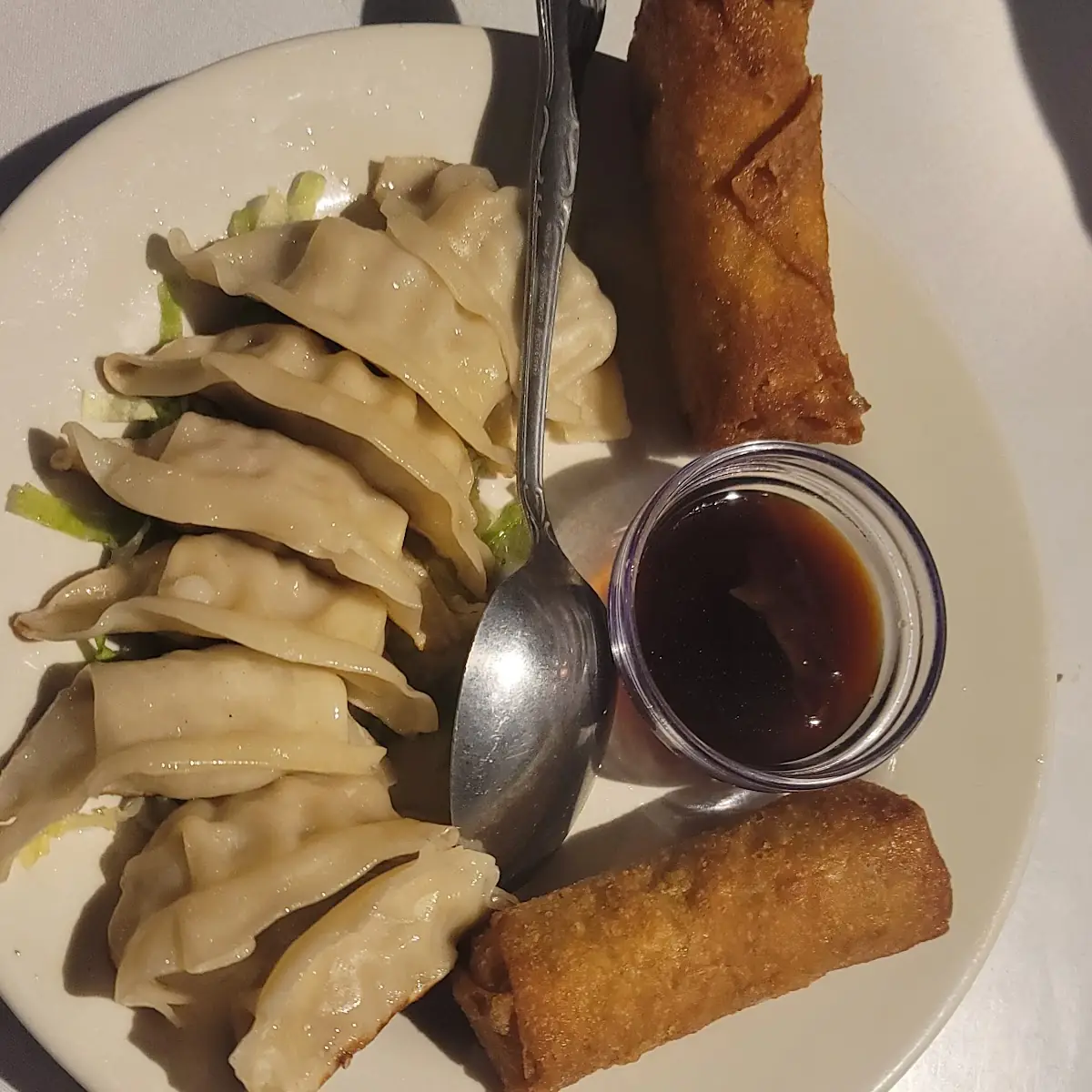 Pan Fried Dumplings