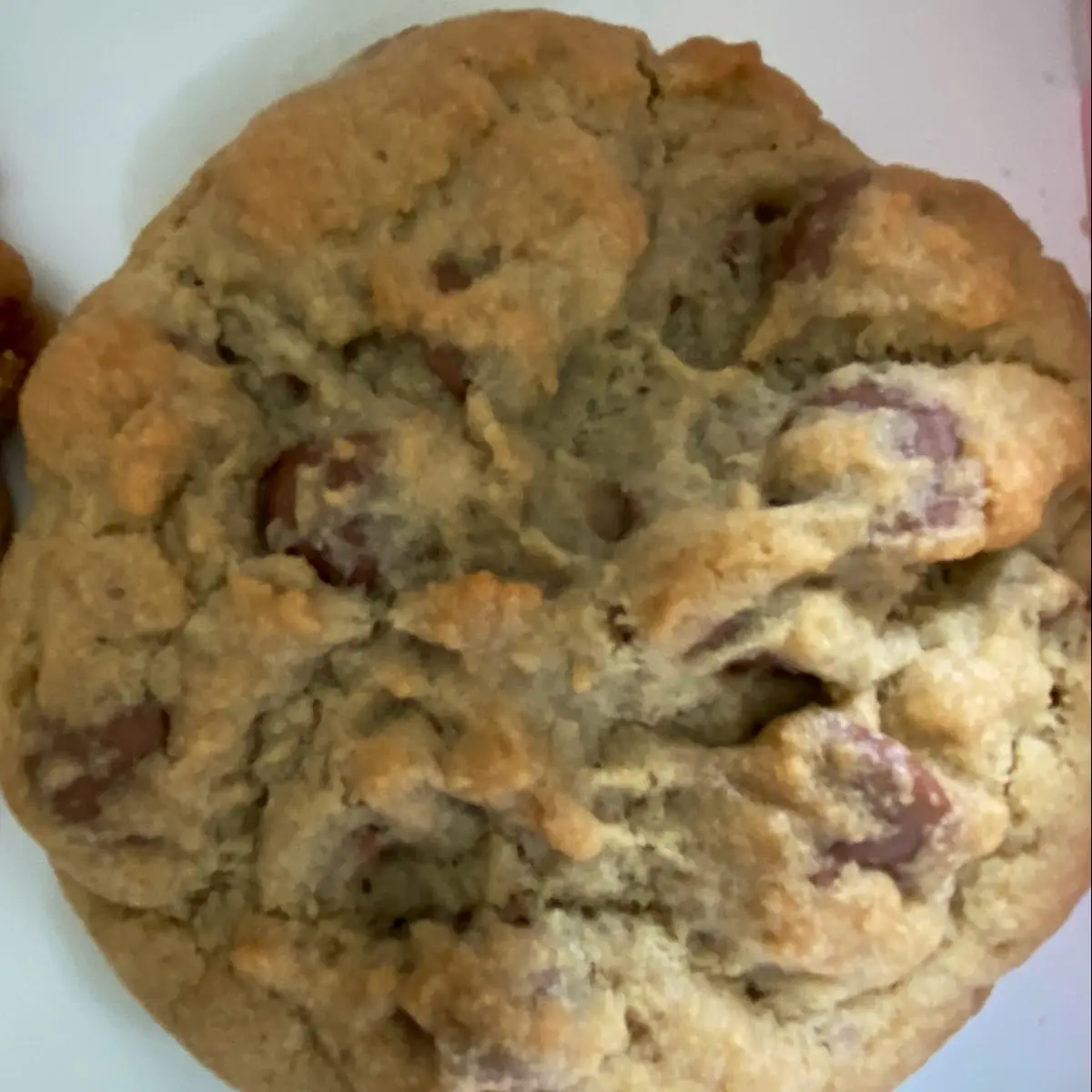 Milk Chocolate Chip Cookie