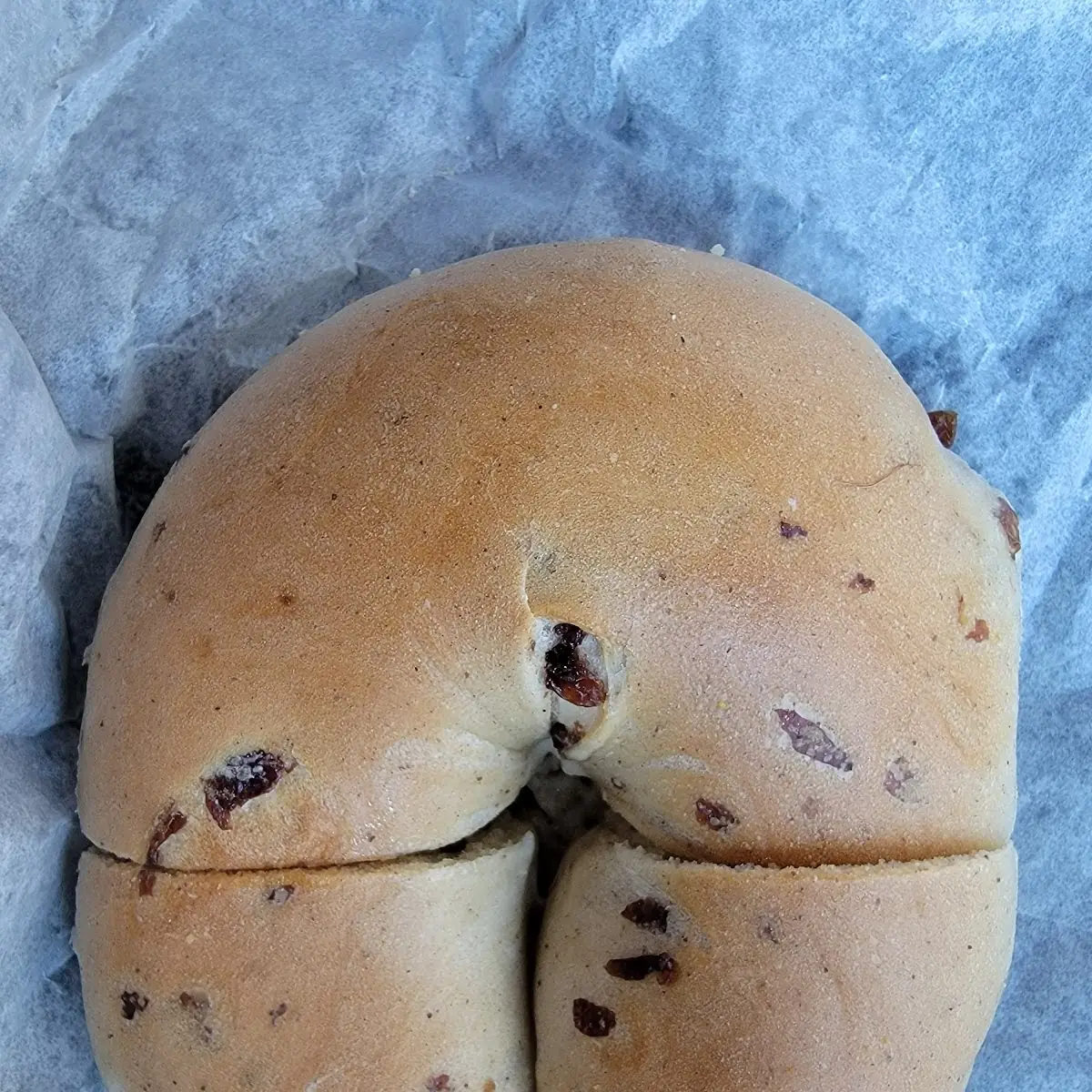 Cinnamon Raisin Bagel