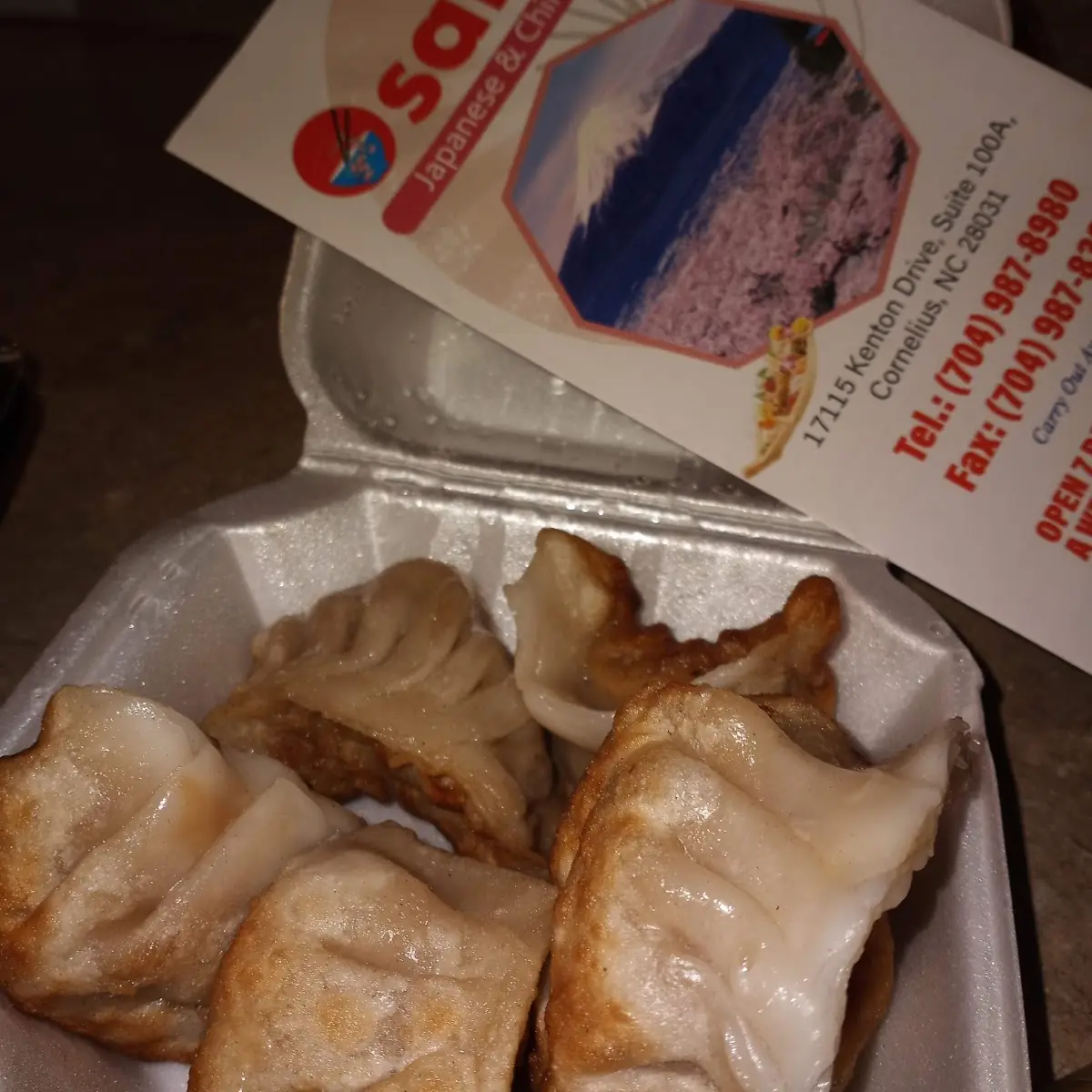 Pan Fried Pork Dumplings 6
