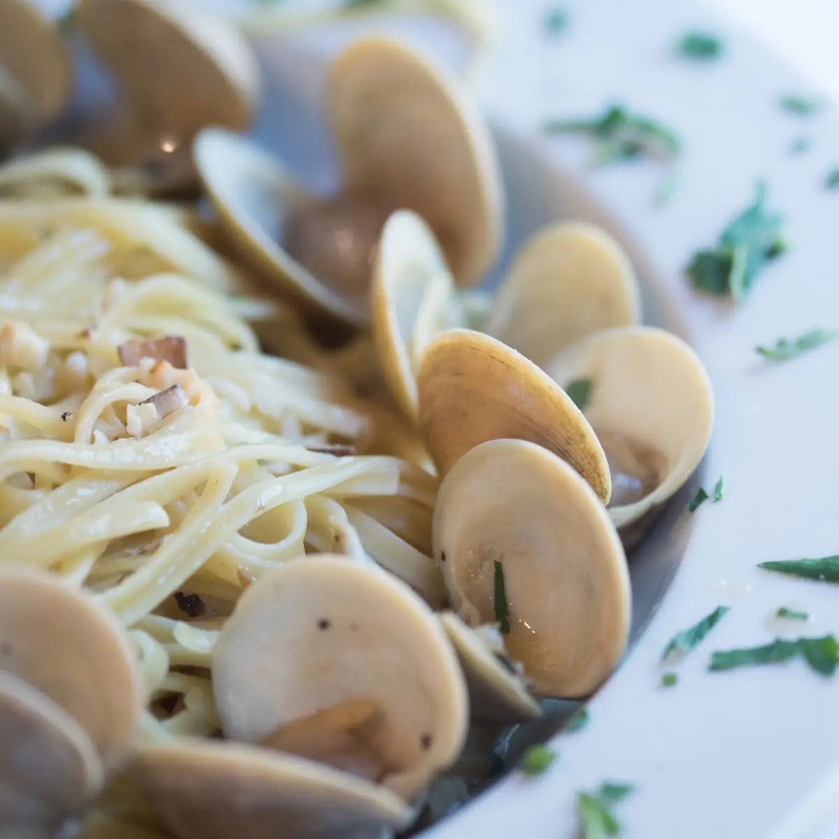 Clam Sauce Linguini