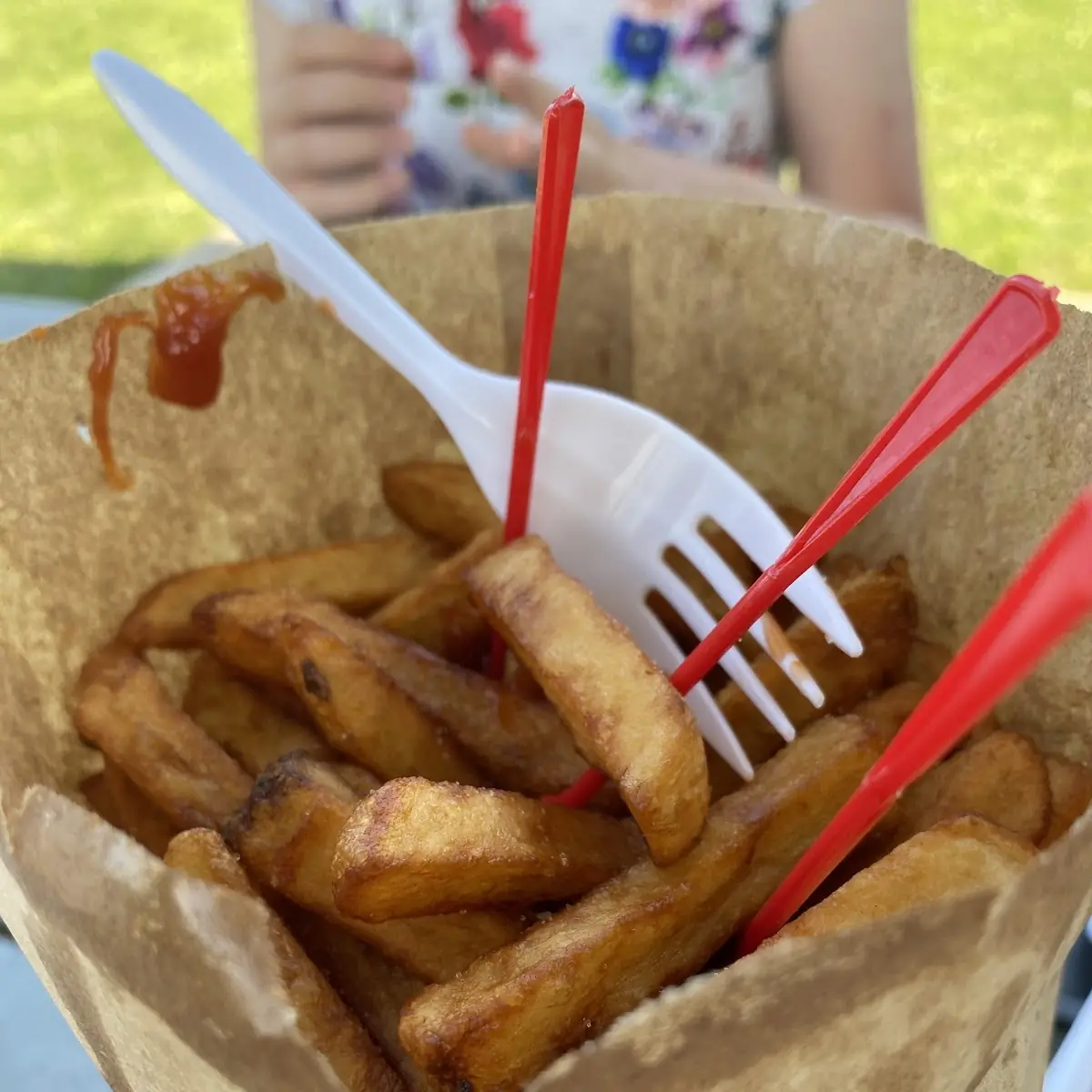 Large Fries