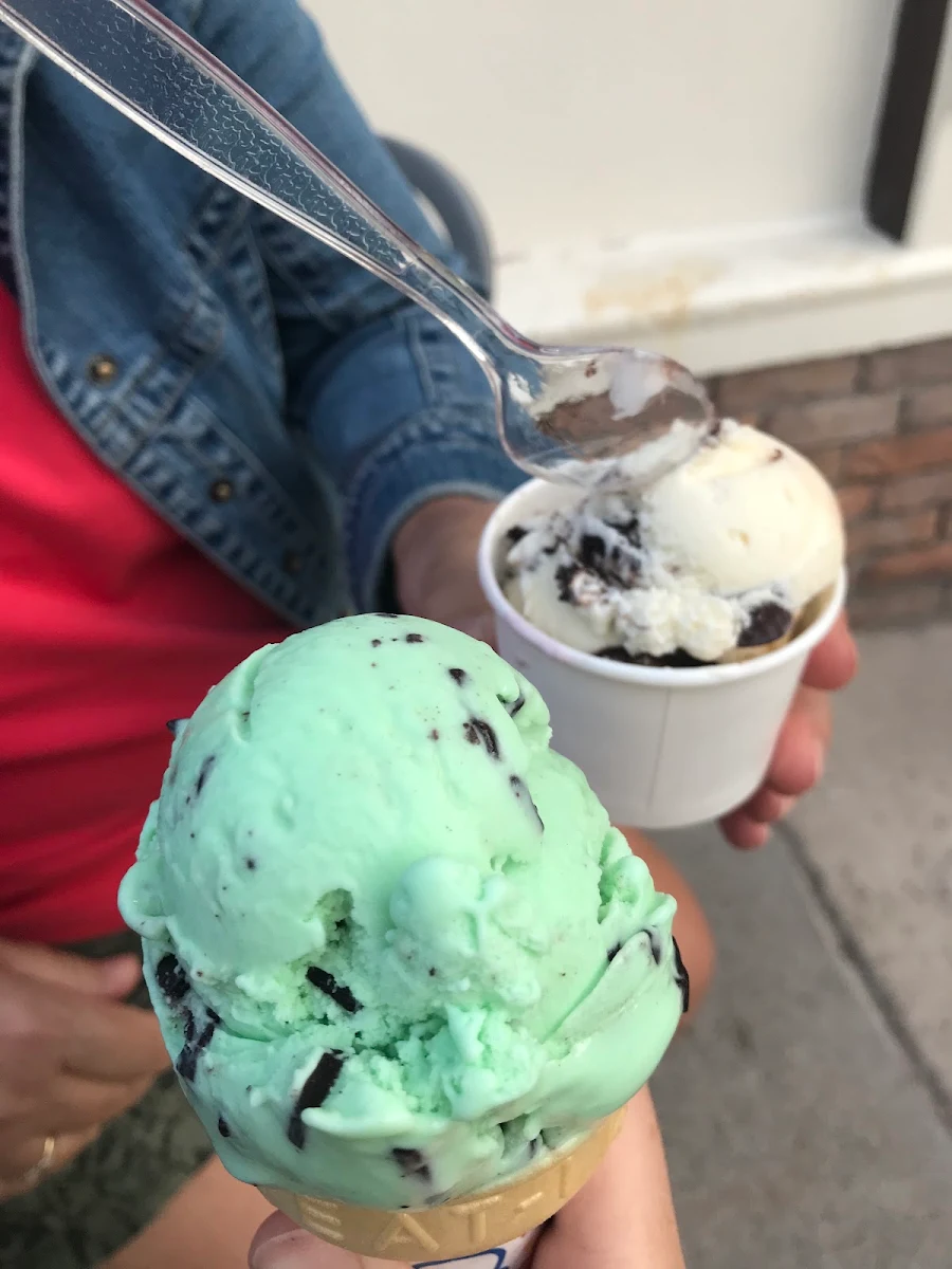 Chocolate Chip
