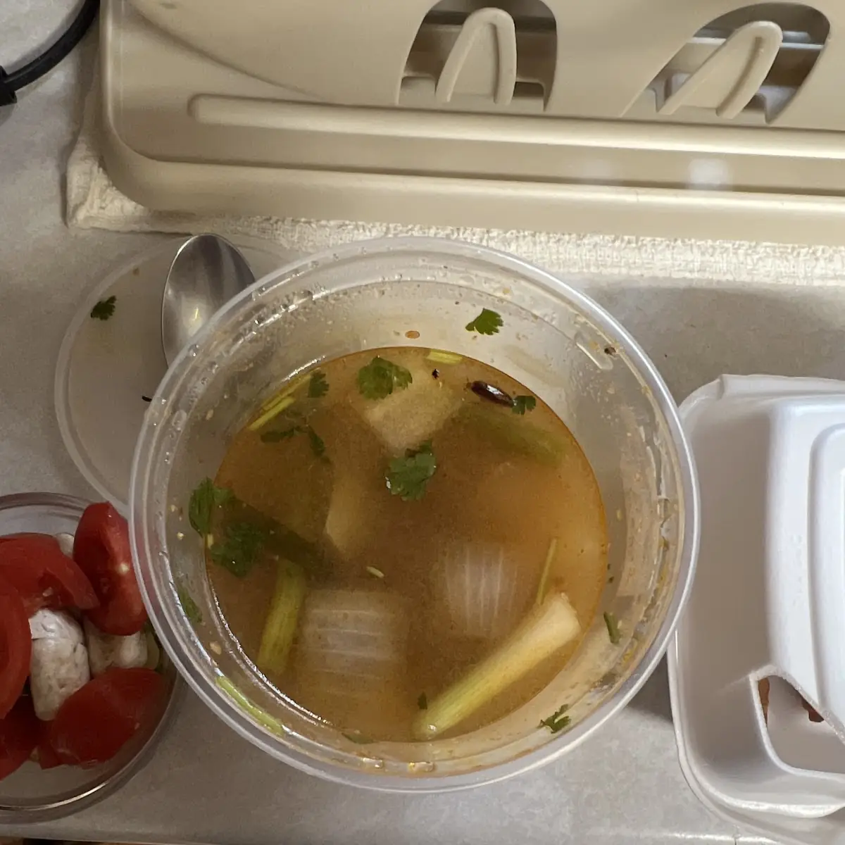Wonton Soup