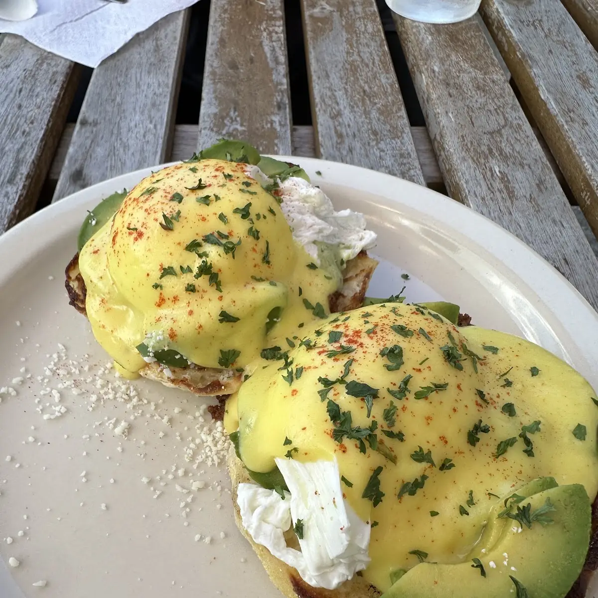 Garden Fresh Benny