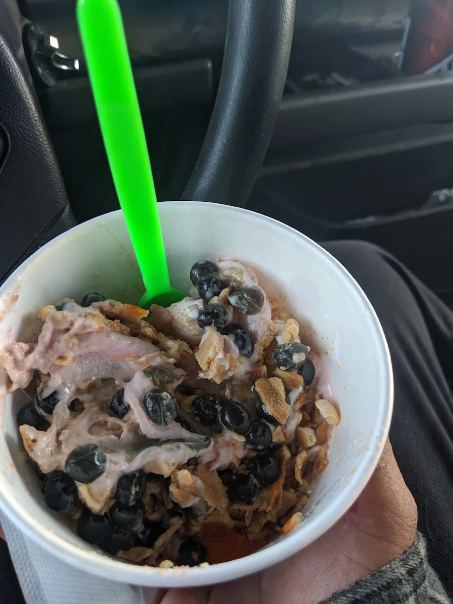 Frozen Yogurt