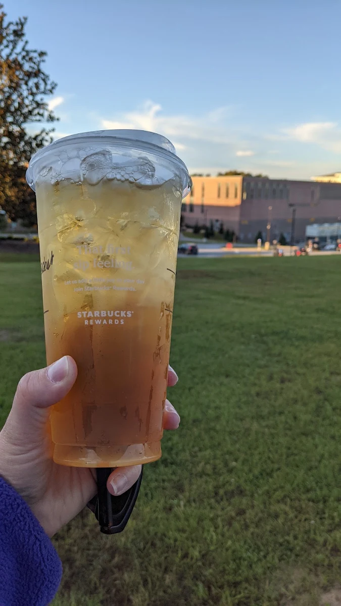 Iced Green Tea