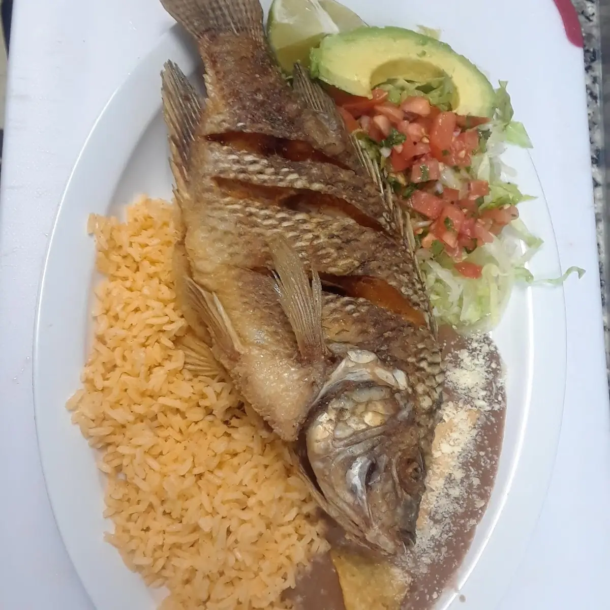 Tilapia Fish