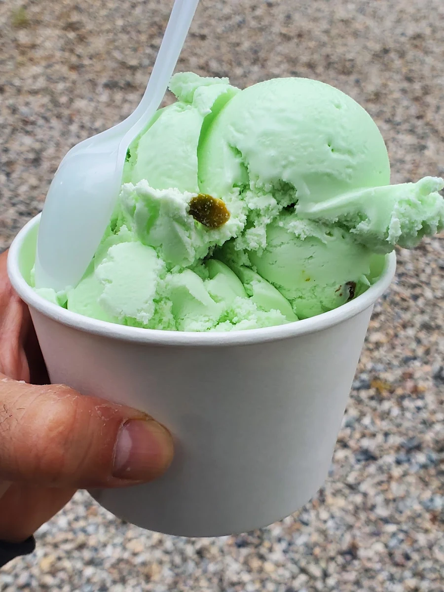 Mint Chocolate Chip