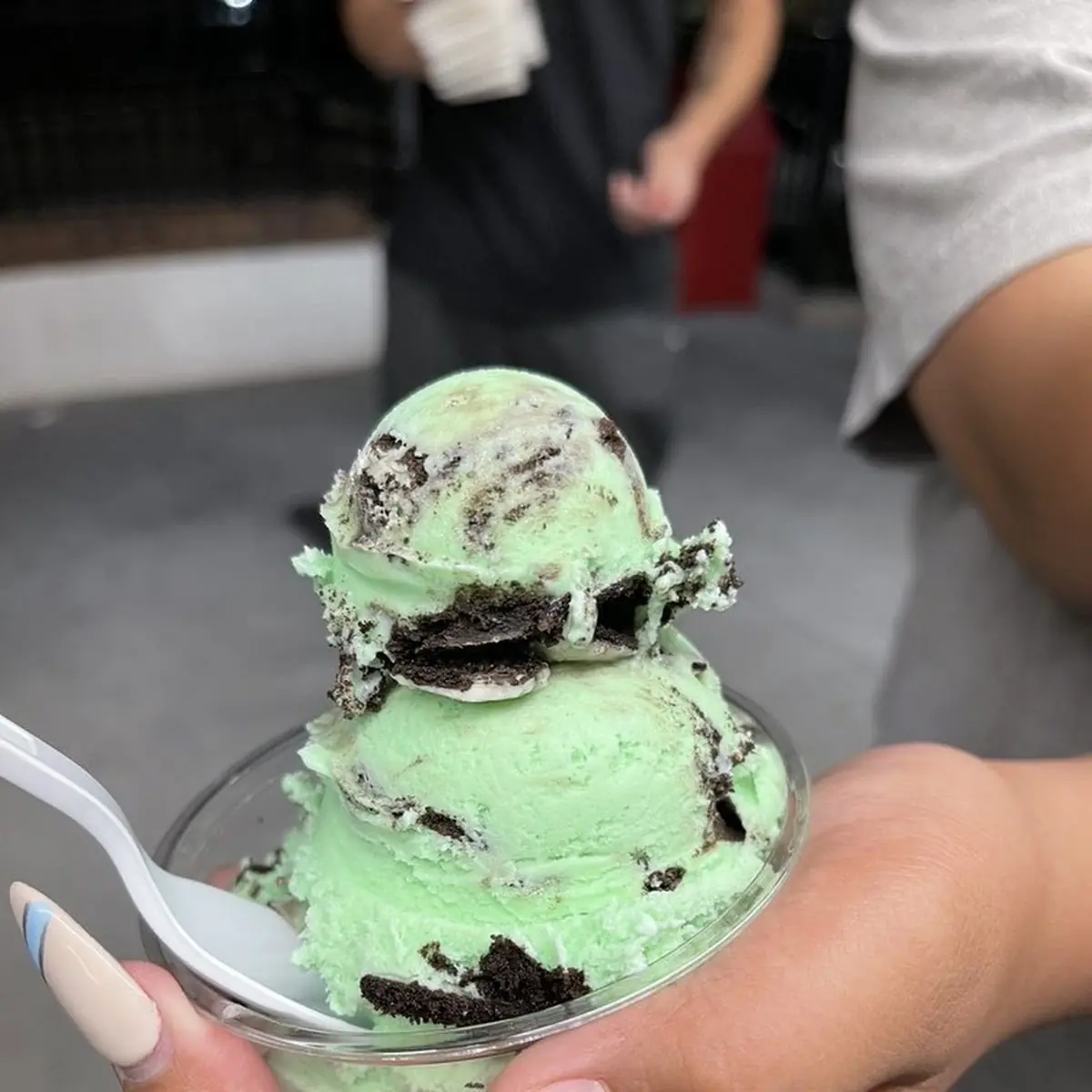 Mint Chocolate Chip