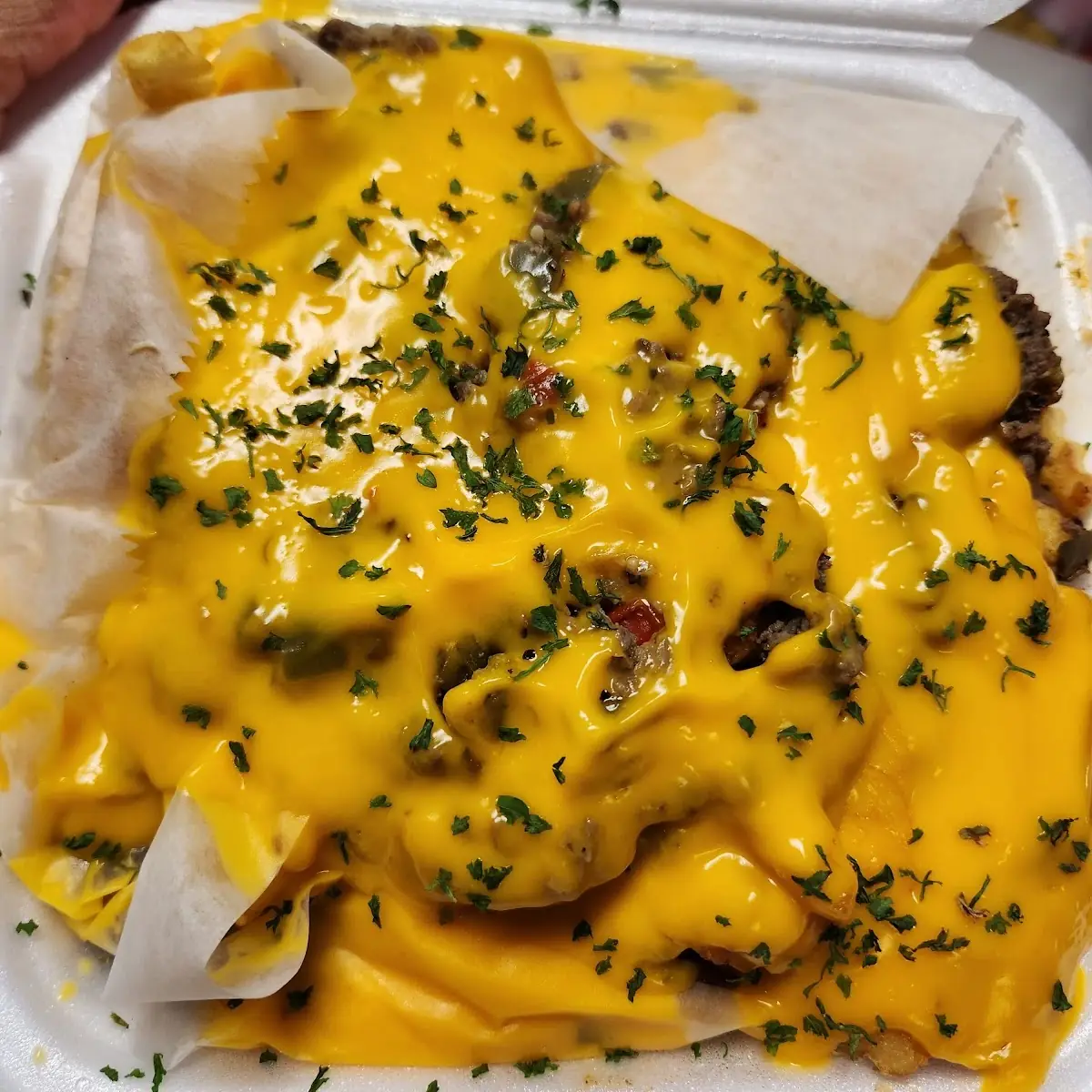 Loaded Cheese Fries