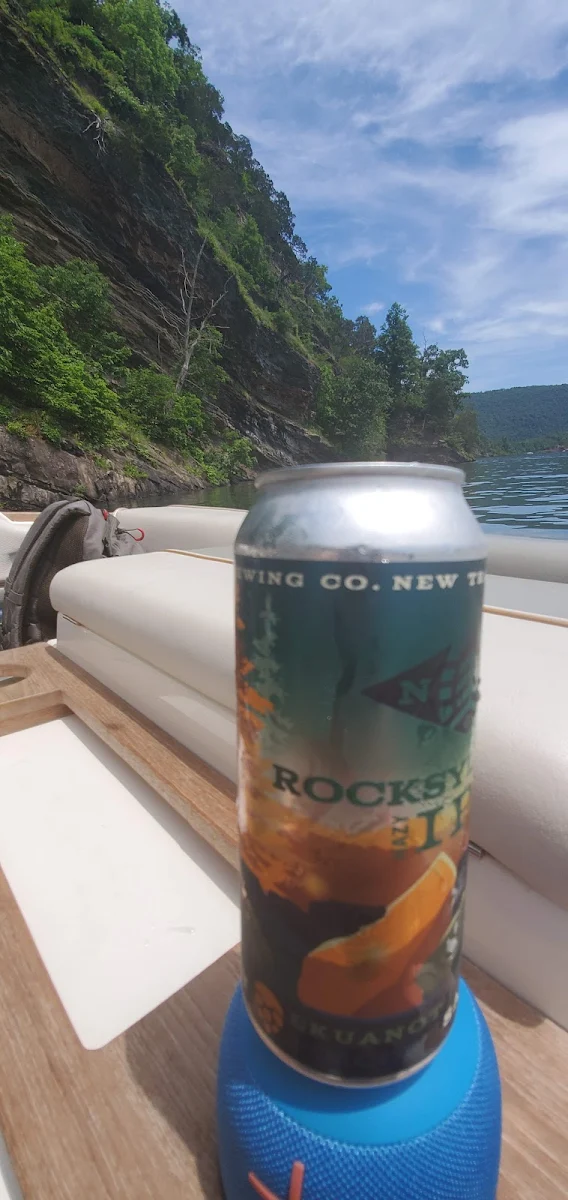 Coast IPA