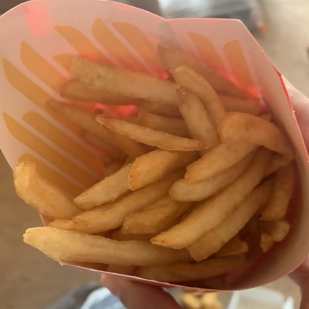 World Famous Fries