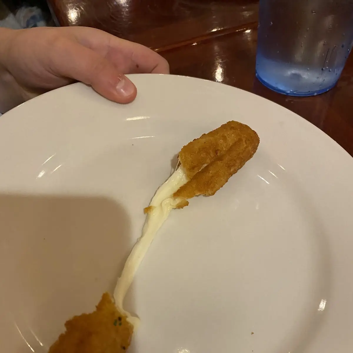 Mozzarella Sticks