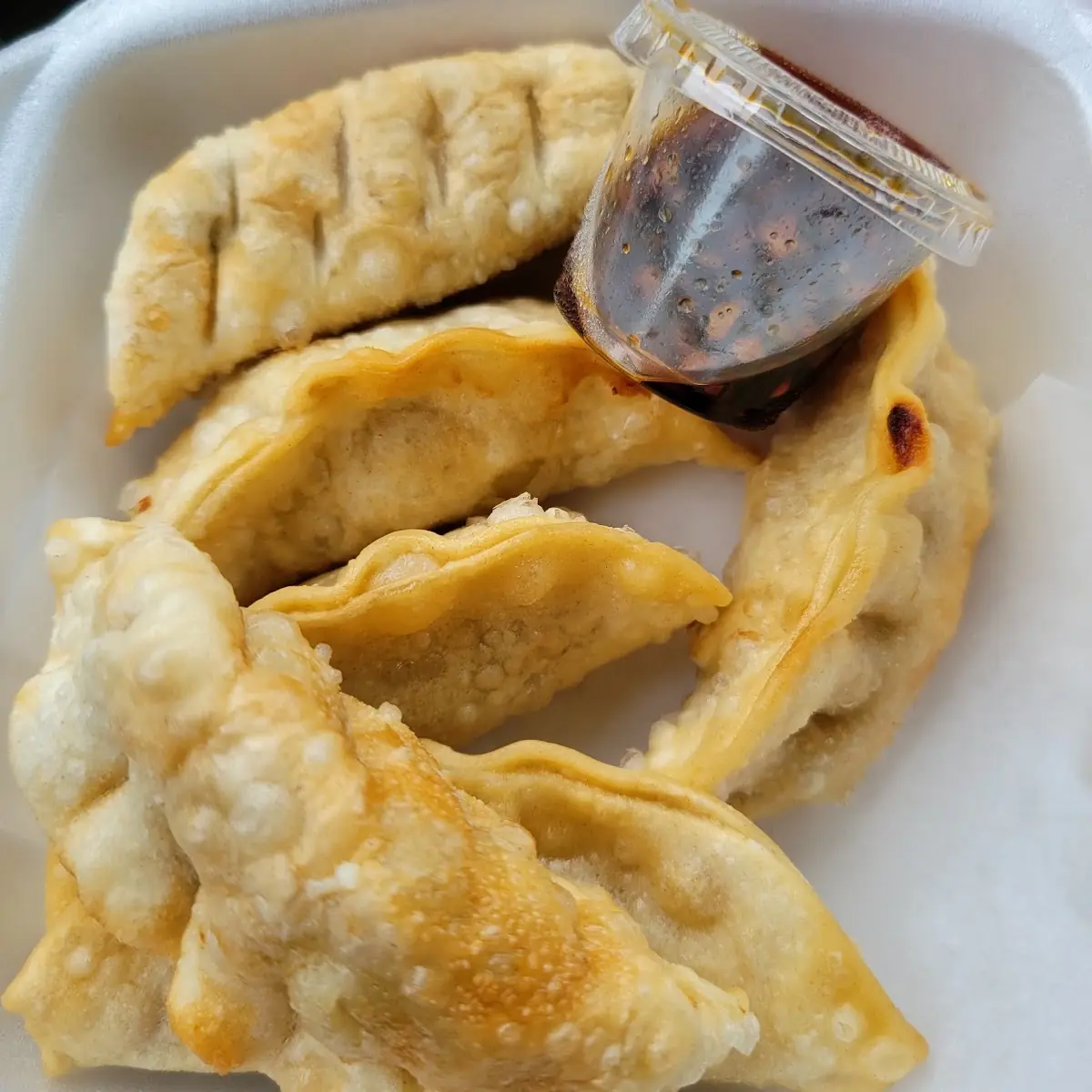 Chicken Dumplings