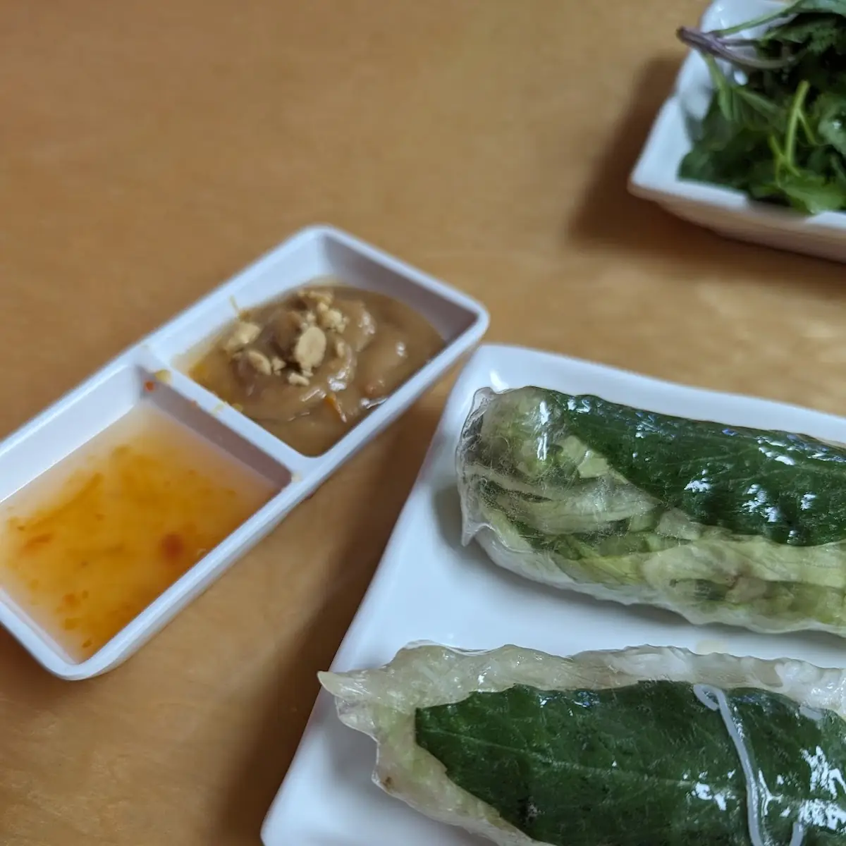 Vegetarian Spring Rolls