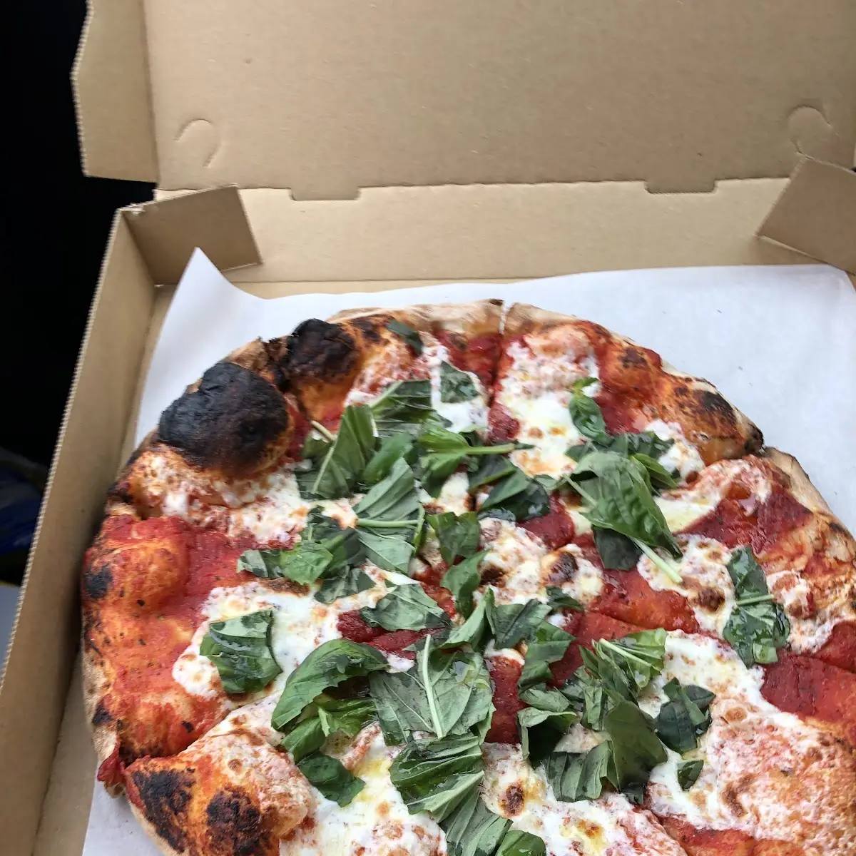 Pizza Margherita