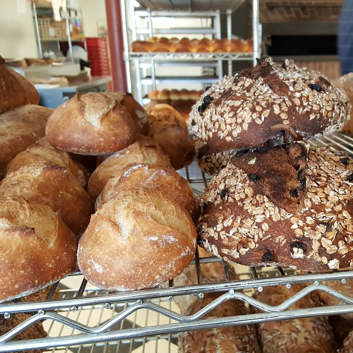 Sourdough