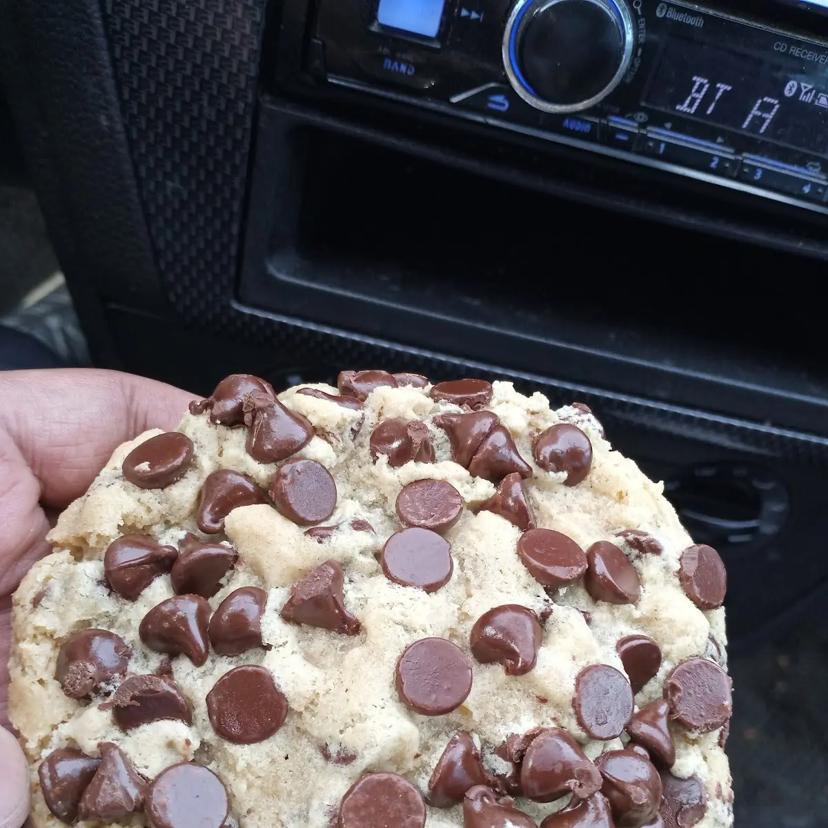 Chocolate Chip Cookie